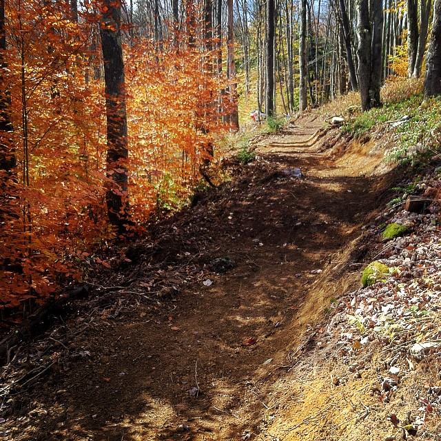 12074632_10153070583040988_6462058753868249610_n