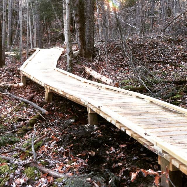 12294914_10153132207615988_2428909584359420197_n