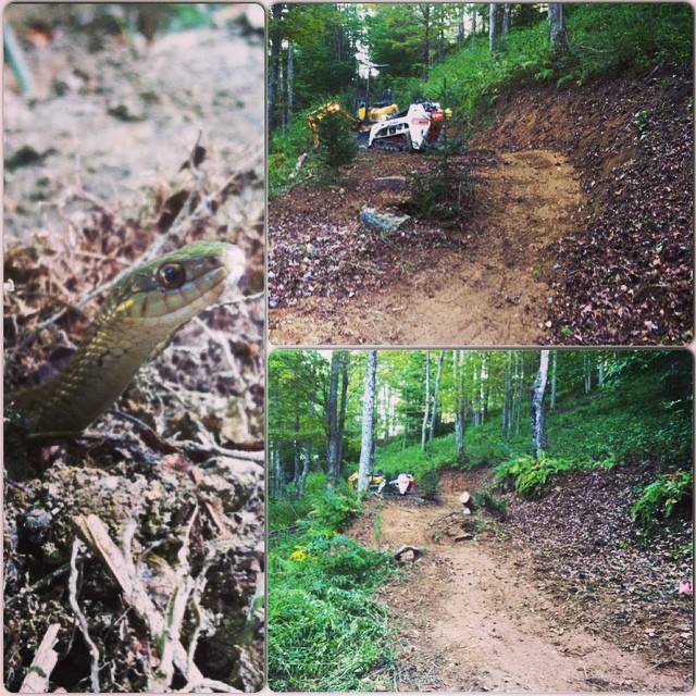 1512797_10153025547680988_8915094811465298926_n