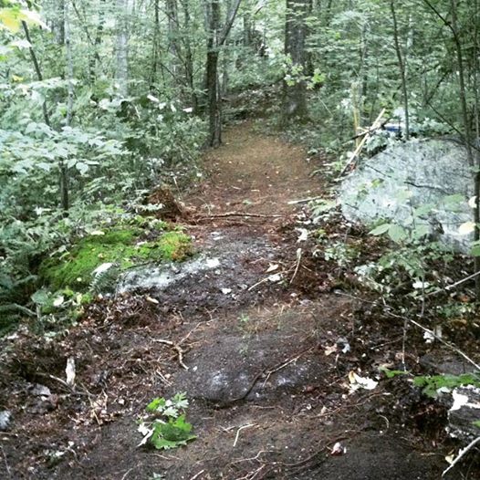 14364879_10153769718770988_568298740830746849_n