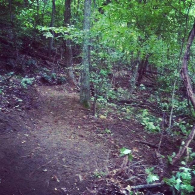 14390752_10153771483980988_7517318618490928427_n